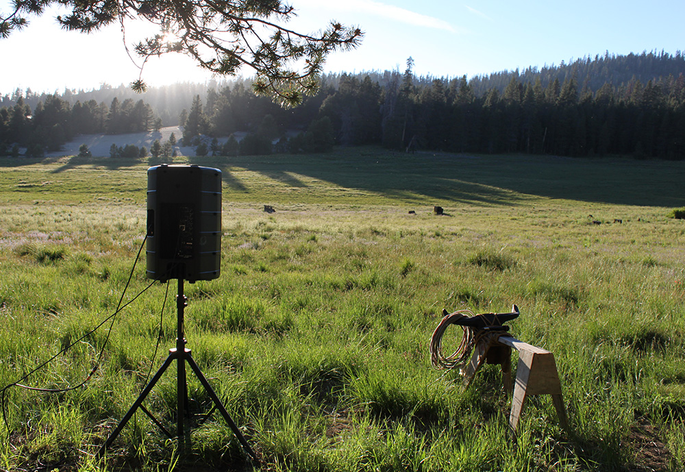 Meadow speaker rs